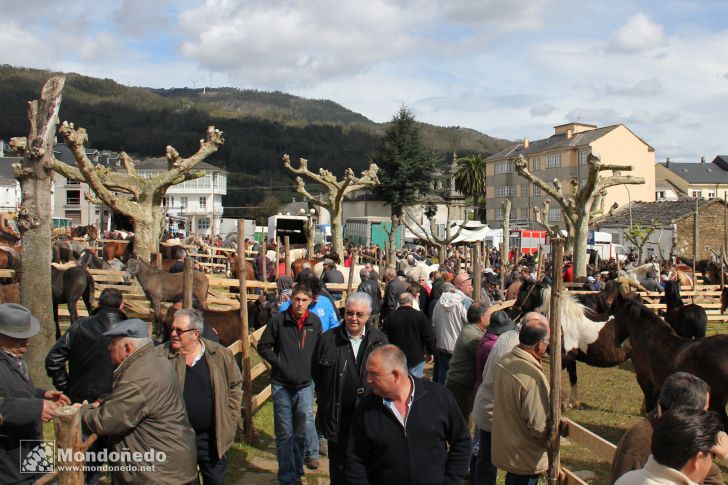 As Quendas 2012
Feria de ganado
