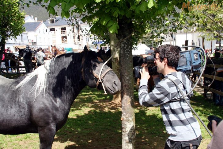 As Quendas 2009
Filmando los caballos
