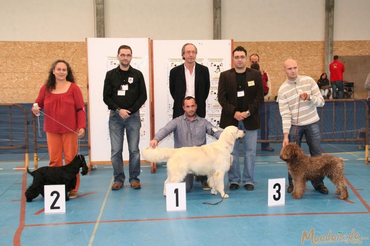 Concurso Canino
Entrega de premios
