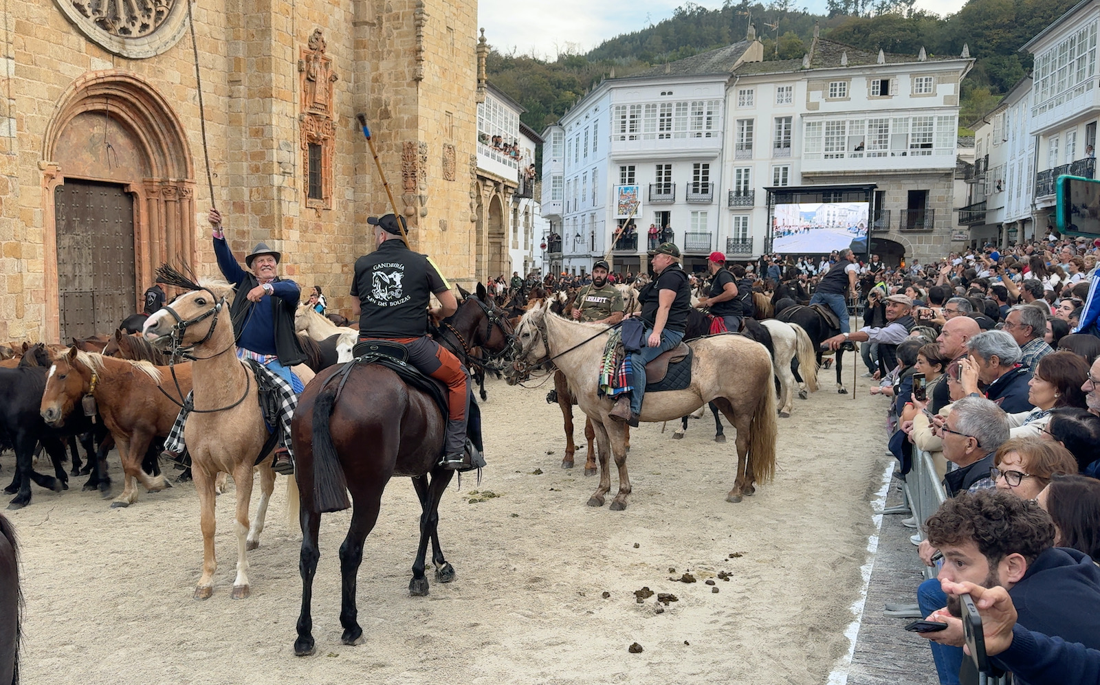 El paso de los caballos por la Praza da Catedral, guiados por los ganaderos.