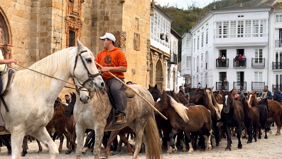 Paso de los caballos por la Praza da Catedral