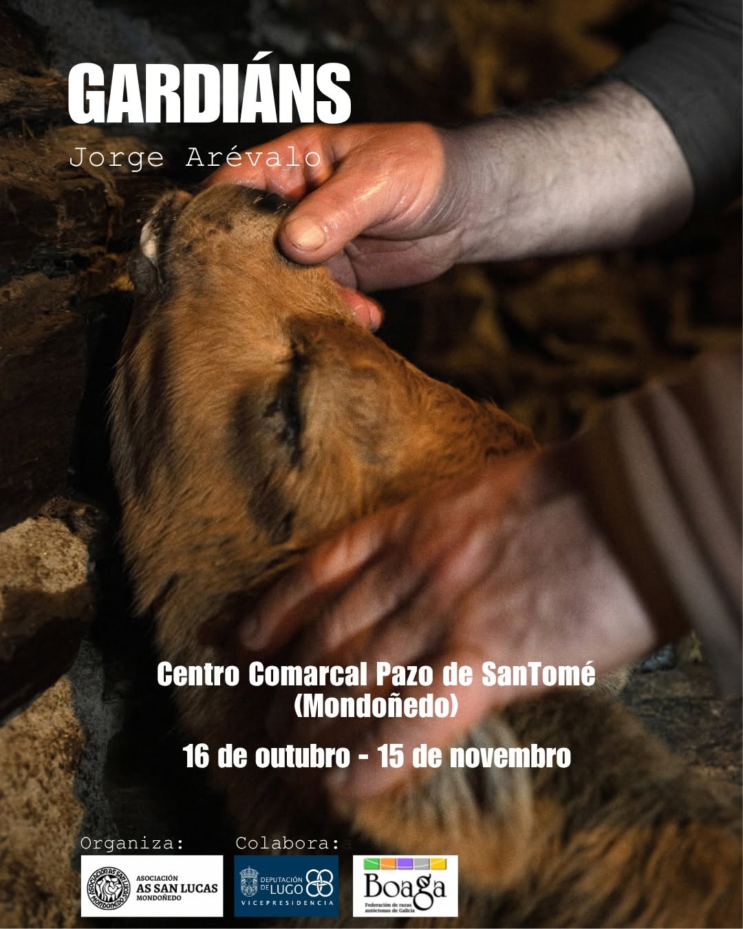 Cartel exposición fotográfica