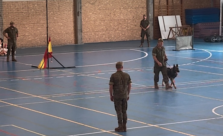 Exhibición de los Equipos Caninos del Ejército de Tierra