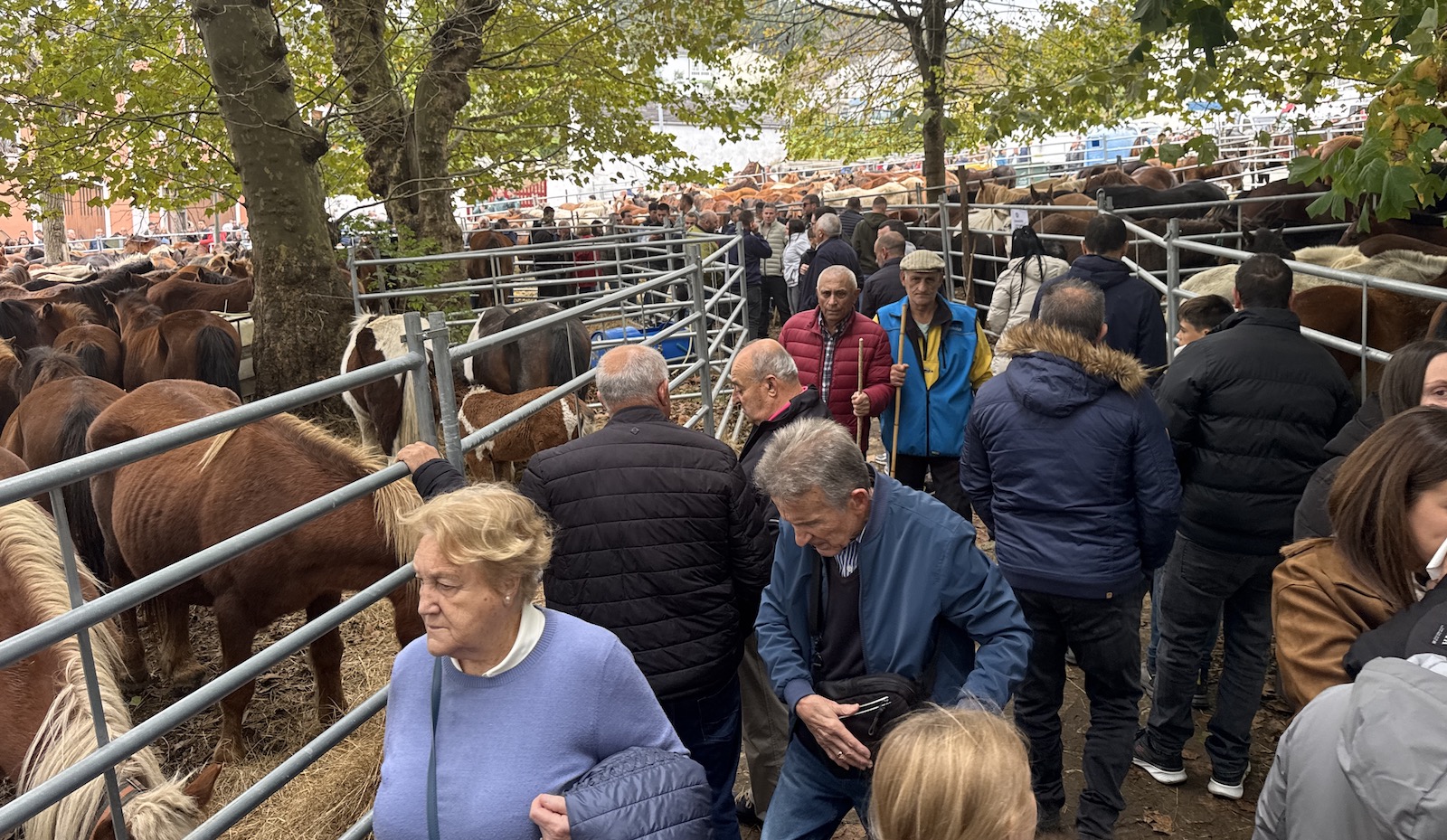 Feria del día grande de As San Lucas