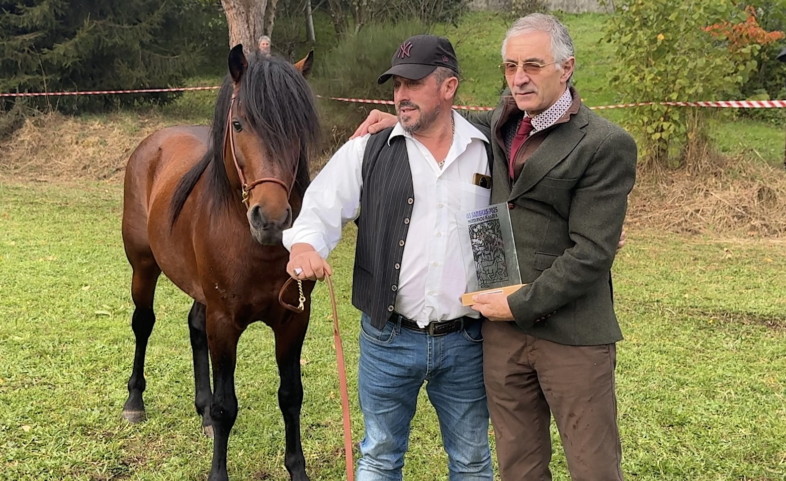 El semental Gali de Oza de la Ganadería Freire Abad, Campeón Gallego 2025