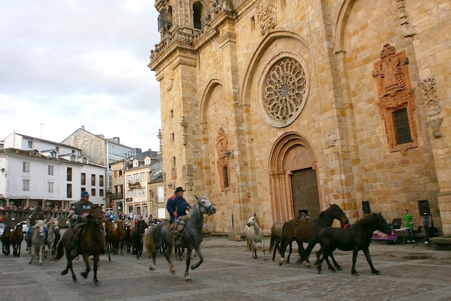 Paso de los caballos por la Praza da Catedral