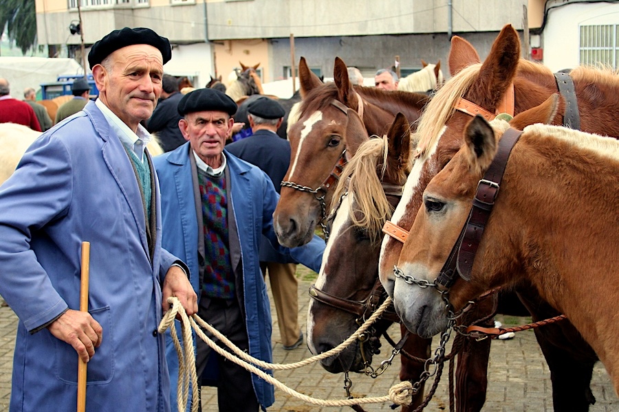 Negociando la venta de caballos en As San Lucas