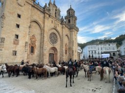 Bajada de los caballos