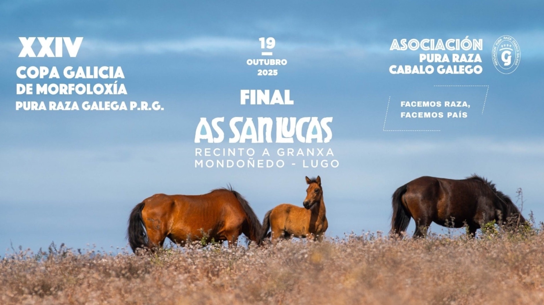 Espectacular demostración de caballos de Pura Raza Galega
