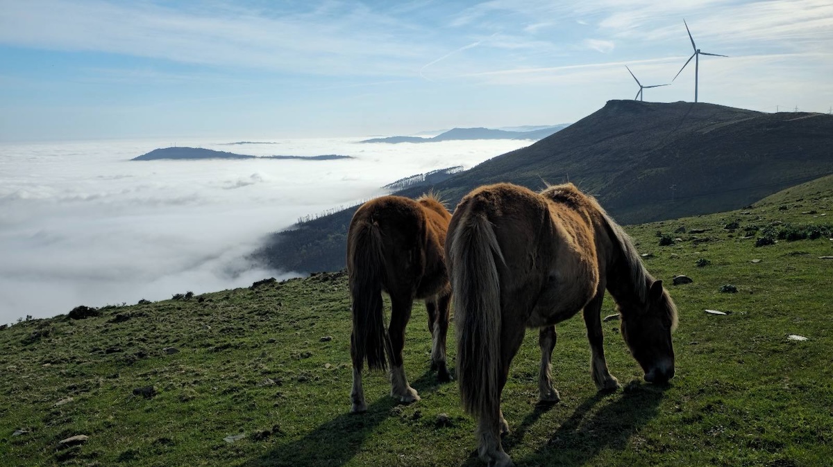Foto de Lorena Fernández Rivas (tercer premio)