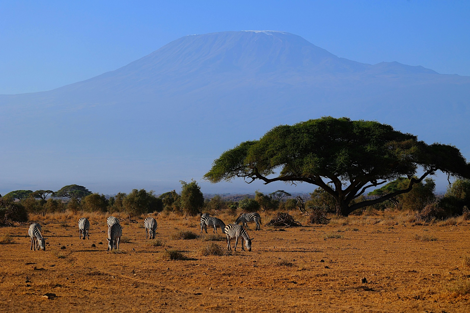 Vista del monte Kilimanjaro en Tanzania